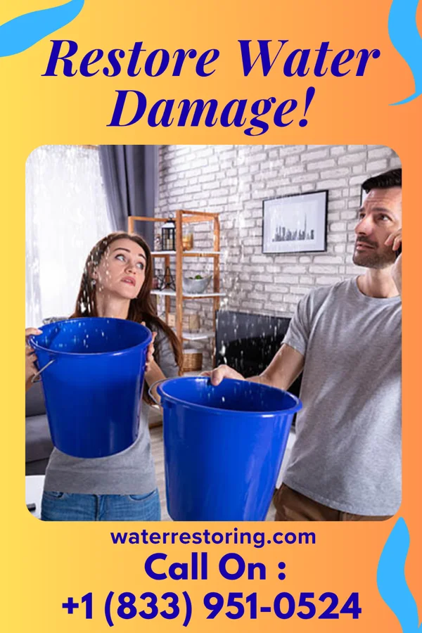 water restoration Stellar Damage Recovery Solutions Stuart