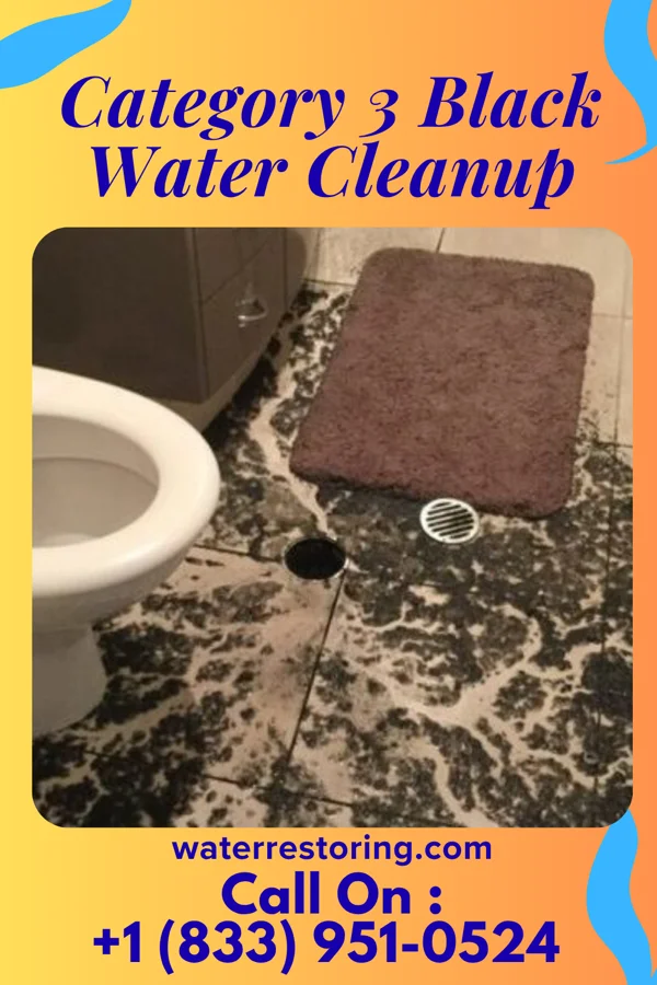 Category 3 Black Water Cleanup in Stuart, OK